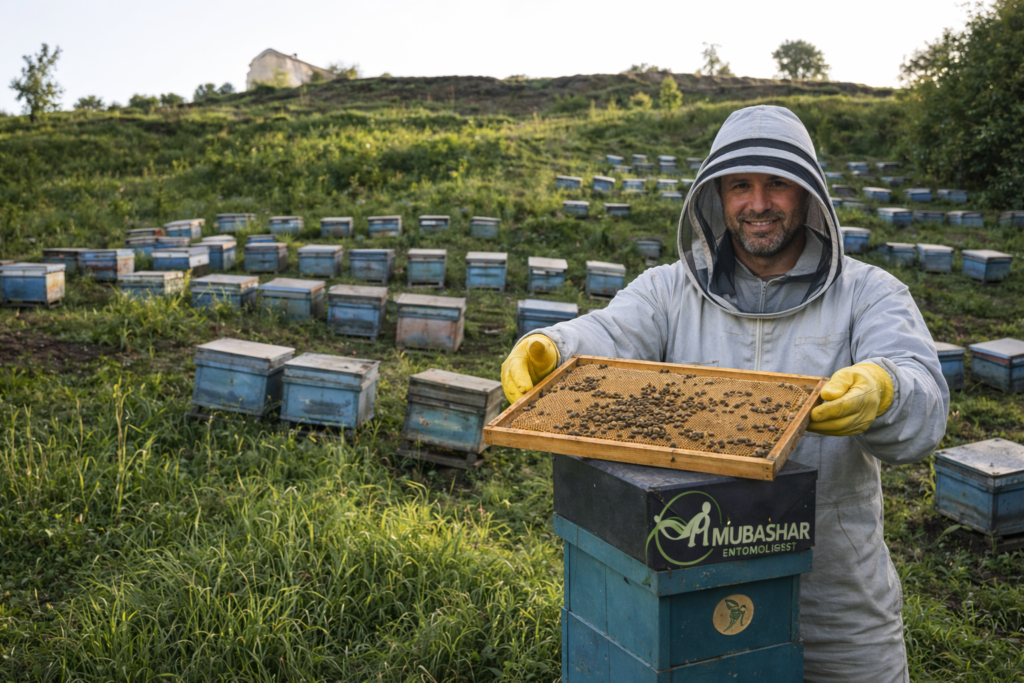 Apiculture